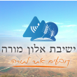 הרב אמיר נכטשטרן